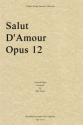 Edward Elgar, Salut D'Amour, Opus 12 Streichquartett Stimmen-Set