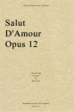 Salut D'Amour op. 12 for string quartet score
