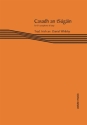 Daniel Whibley, Casadh an tSugain Saxophone in Eb and Harp Buch