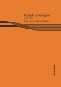 Daniel Whibley, Casadh an tSugain Flute and Harp Buch
