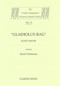 Gladiolus Rag for bassoon quartet score and parts
