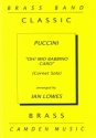 Giacomo Puccini Arr: Ian Lowes, O Mio Babbino Caro for brass band Partitur und Stimmen