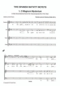 2 spanish Nativity Motets for mixed chorus a cappella score (la)