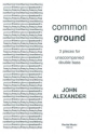 : Common Ground double bass solo