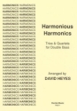 David Heyes Harmonious Harmonics double bass trio, double bass quartet, double bass ensemble