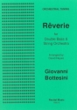 Giovanni Bottesini Ed: David Heyes Rverie - Orchestral Tuning edition double bass and string orchestra