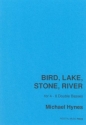 Michael Hynes Bird, Lake, Stone, River double bass ensemble