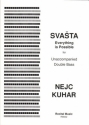 Nejc Kuhar SVASTA - Everything is Possible double bass solo