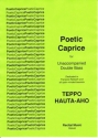 Teppo Hauta-aho Poetic Caprice double bass solo