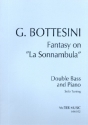 Fantasy on 'La Sonnambula' in A Major for double bass (solo tuning) and piano