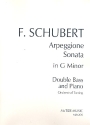 Arpeggione Sonata (in g Minor) for double bass (orchestral tuning) and piano