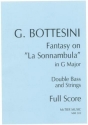 Fantasy on 'La Sonnambula' in G Major for double bass and strings score