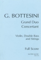 Grand Duo concertant for violin, double bass (solo tuning) and string orchestra score and parts