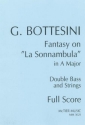 Fantasy on 'La Sonnambula' in A major for double bass and strings score and parts