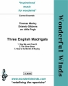 3 English Madrigals for 1 clarinet and 3 bass clarinets score