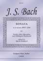 Johann Sebastian Bach Sonata in A minor BWV1020 treble recorder & piano