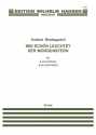 Anders Brdsgaard, Wie Schn Leuchtet Der Morgenstern Accordion Quartet Partitur