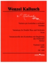 Variationen fr Kontrabass und Orchester Partitur