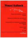 Variationen für Kontrabass und Orchester Partitur