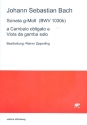 Sonate g-Moll BWV1030b fr Viola da gamba und Cembalo