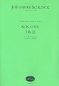 Sonaten Nr.1 und 2 fr Viola da Gamba und Bc Partitur und Stimmen (Bc ausgesetzt)