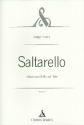 Saltarello fr Flte und Akkordeon Partitur