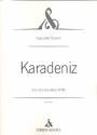 Karadeniz fr Viola und Akkordeon