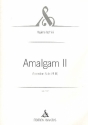 Amalgam no.2 for accordion