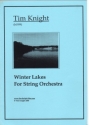 Tim Knight Winter Lakes string orchestra