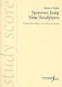 Sparrows jump nine Sandpipers for piano, flute, clarinet, violin and violoncello study score