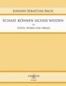 Schafe knnen sicher weiden fr Flte, Horn und Orgel Partitur und Spielpartitur Flte/Horn