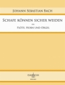 Schafe knnen sicher weiden fr Flte, Horn und Orgel Partitur und Spielpartitur Flte/Horn