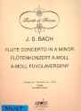 Concerto a minor for flute and piano
