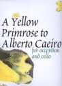 A yellow Primrose to Alberto Caeiro for accordion and cello