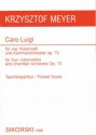 Caro Luigi op.73 fr 4 Violoncelli und Kammerorchester Studienpartitur
