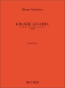 Grande aulodia per flauto e oboe soli con orchestra, partitura (1970)