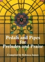 Pedals and pipes for preludes and praise for organ
