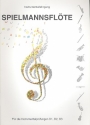 Instrumentallehrgang Spielmannsflte fr die Instrumentalprfungen D1, D2, D3 