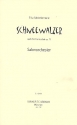 Schneewalzer op.71 fr Salonorchester Direktion und Stimmen