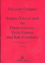 Sonate d-Moll fr Flte, Viola d'amore und Bass (Cembalo)