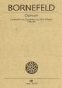 Orpheum Quintett für 4 Flöten und Zither (Klavier) Partitur