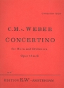 Concertino e-Moll op.45 fr Horn in E und Orchester fr Horn in E und Klavier