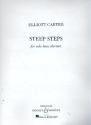 Steep Steps for bass clarinet