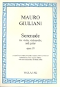 Serenade op.19 for violin, cello and guitar