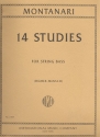 14 Studies for string bass