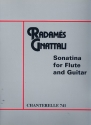 Sonatina for flute and guitar