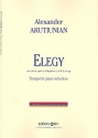 Elegy for trumpet (flugelhorn) and strings for trumpet and piano