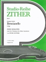 2 Sonaten fr Konzert-Zither