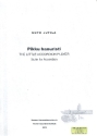 Pikku hanuristi - The Little Accordion Player fr Akkordeon MIII