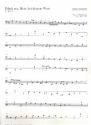Erhalt uns, Herr, bei deinem Wort BuxWV27 fr gem Chor, 2 Violinen, Violone (Bombarde) und Bc Violone